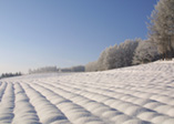 雪景的銀白色