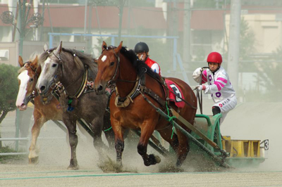 Banei Horseracing
